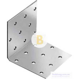 Перфорований кутовий кутник рівносторонній 100x100x60мм 2,5мм