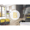 Ламінат 33 клас King Floor Royal Line дуб королівський світлий
